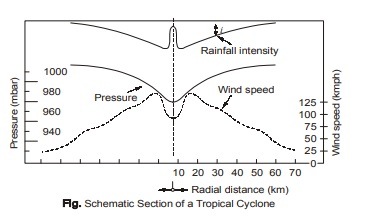 Tropical Cyclone: