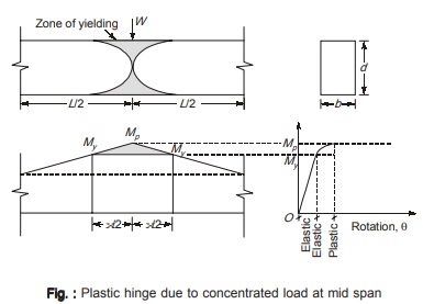  Plastic Hinge