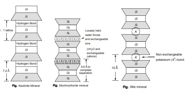  Illite Minerals