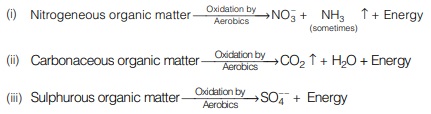 Aerobic Decomposition