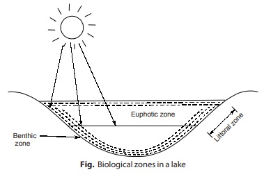 Biological Zones