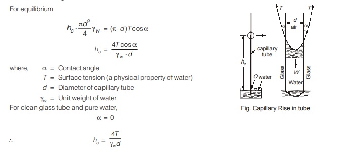 Capillary